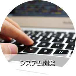 システム開発